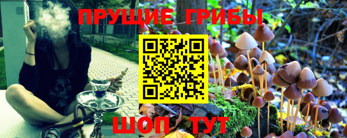 Псилоцибиновые грибы MAGIC MUSHROOMS Шелехов