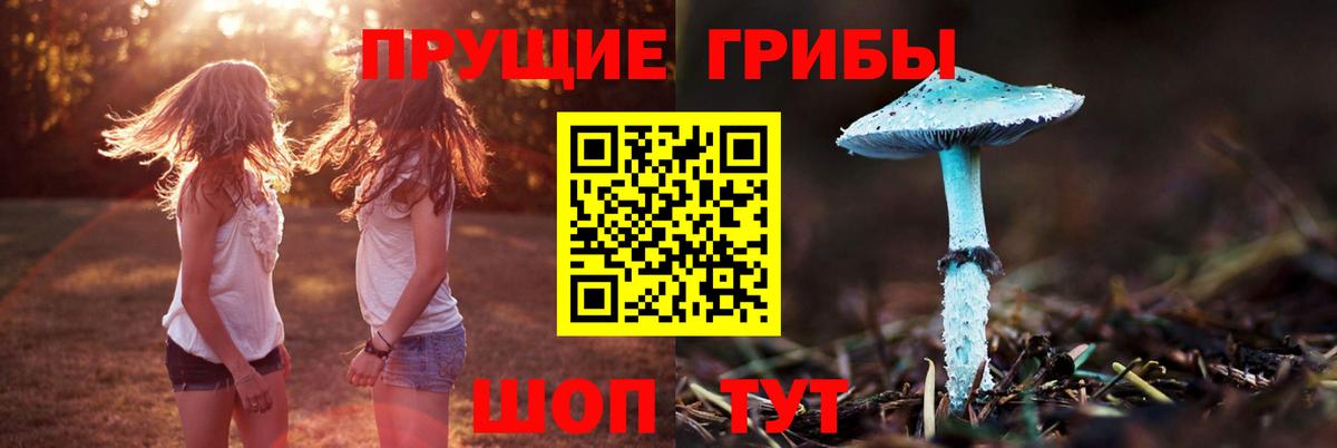 Шелехов  Псилоцибиновые грибы прущие грибы  Вход с VPN 